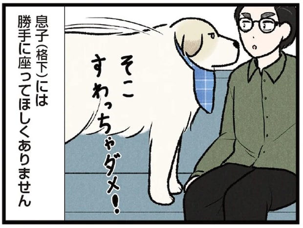 ソファは僕の場所！ 大型犬に格下認定された息子は座れるのか⁉／今日のルンルン