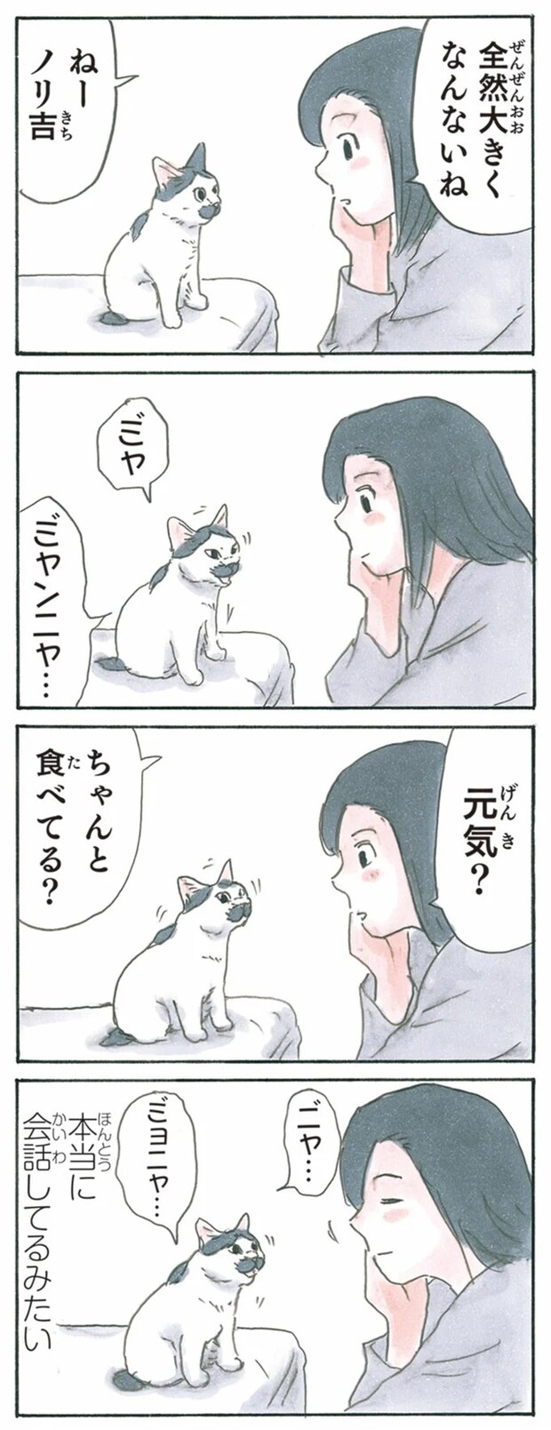 13344041.webp