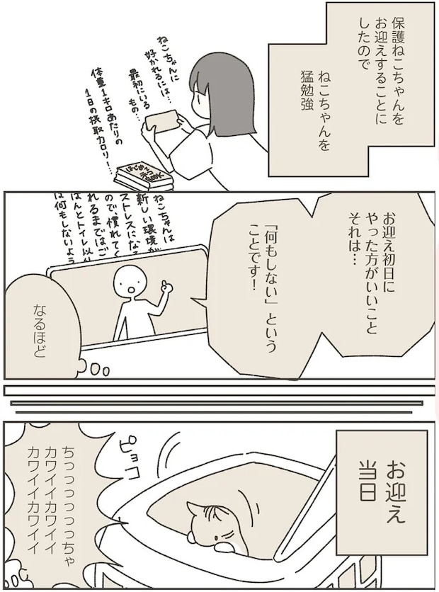 16124195.webp