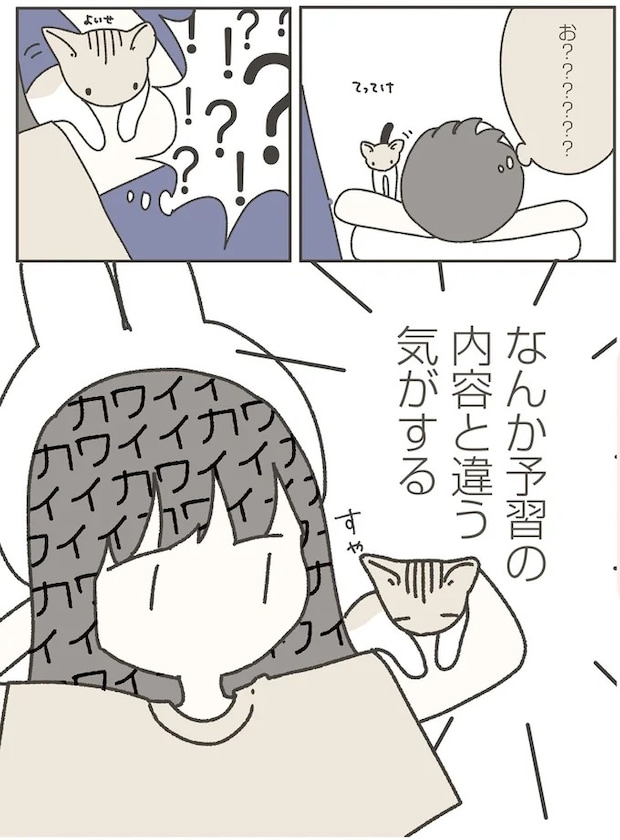 16124206.webp