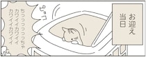 保護猫を迎えることにした女性。「初日は何もしない」と心に決めていたが...えええ！／ねこのつゆちゃんのことで頭がいっぱいです