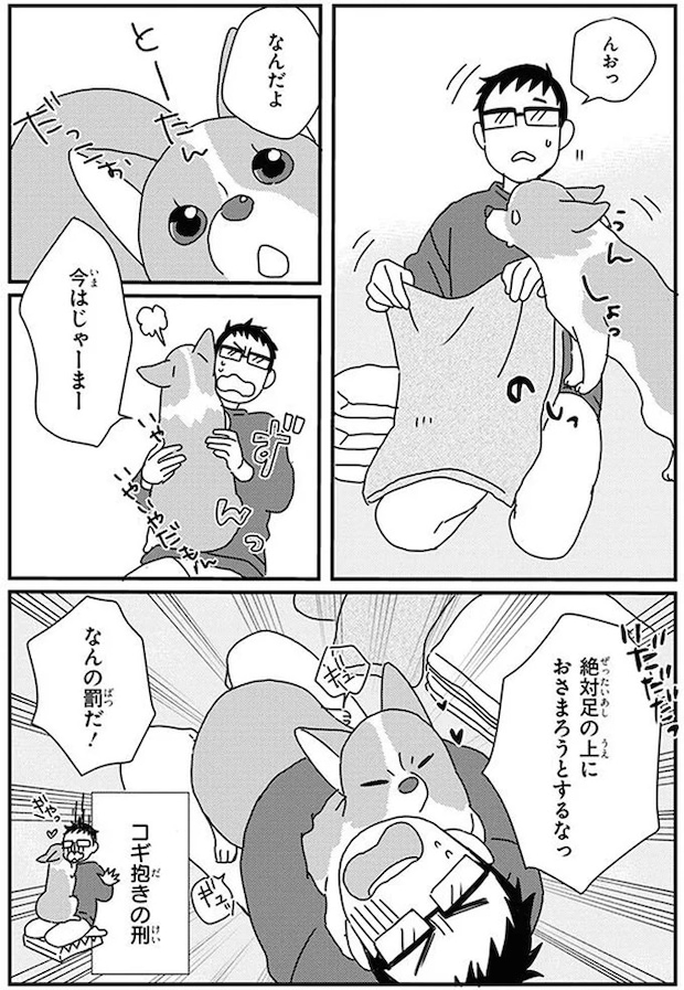 16070776.webp