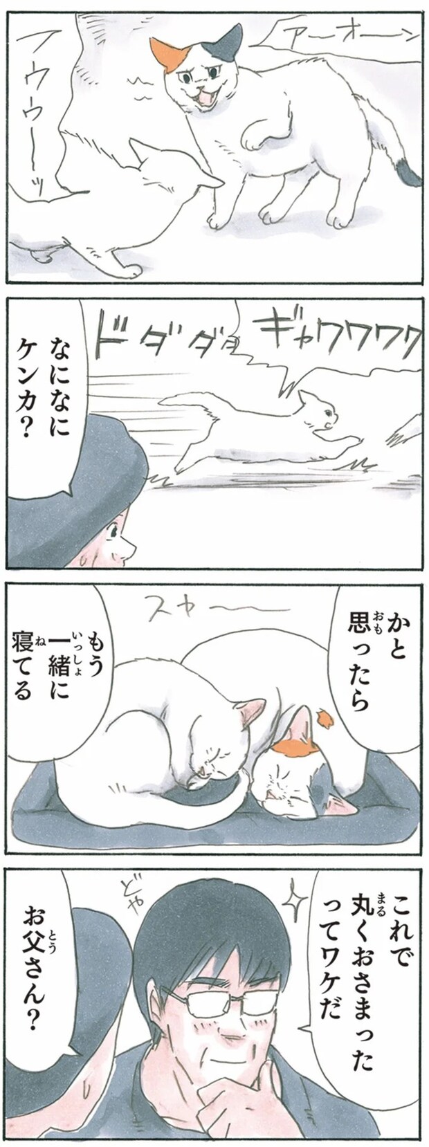 13344049.webp