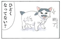 満足そうだけど、え？ 子猫の毛づくろいの結果が残念すぎた／拾い猫のモチャ8