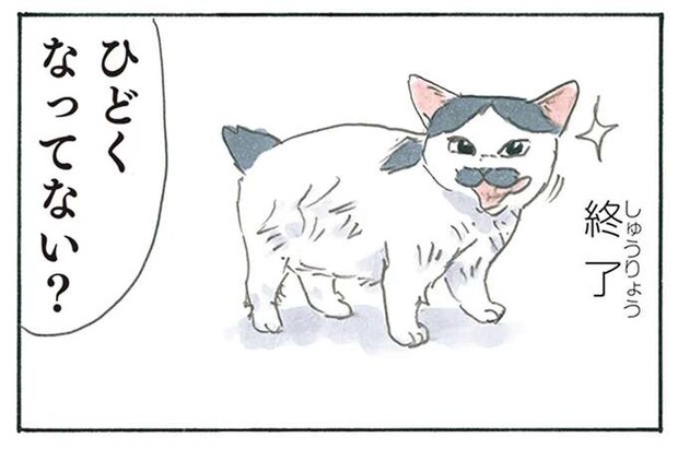 満足そうだけど、え？ 子猫の毛づくろいの結果が残念すぎた／拾い猫のモチャ8