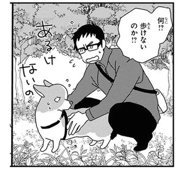 いちゃいの...ワンコを歩けなくする「トラップ」。警戒が止まらなくて...／あしょんでよッ10