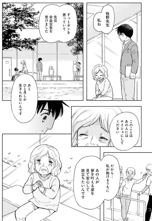 16179782.webp