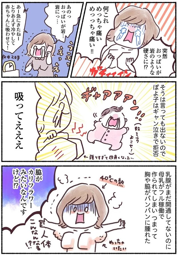 15883814.webp