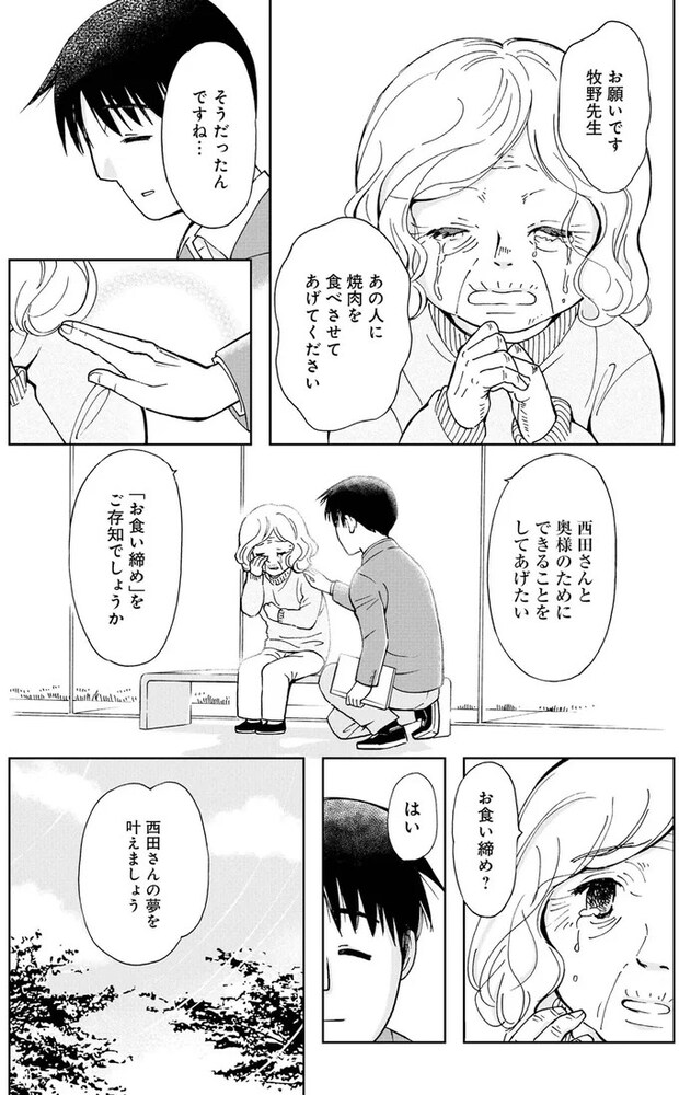 16179796.webp