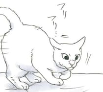 子猫がいない!? 涙目で探してやっと見つけたのに当の本人は...え？／拾い猫のモチャ8