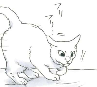 子猫がいない!? 涙目で探してやっと見つけたのに当の本人は...え？／拾い猫のモチャ8