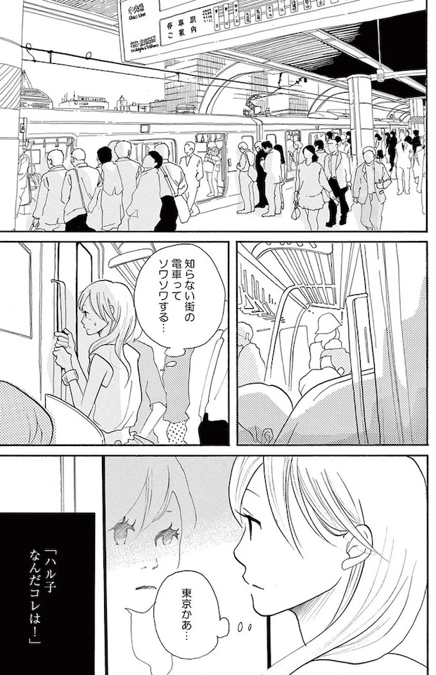 14089549.webp