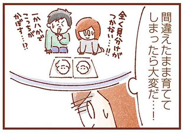 「一卵性双子を見分けられるのか？」出産前の母の不安。いざ生まれたら...んんん？／双子育児、ちょっぴり詰んでます！