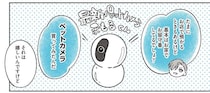 バイトくんの不在時、ペンギンたちは部屋で何してる？ 見守りカメラをつけてみた／ペンギン喫茶は今日も青天3