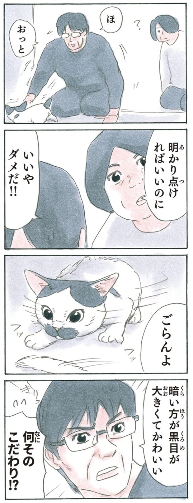 13344067.webp