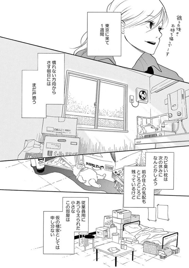 14089565.webp