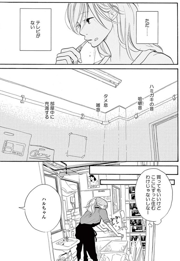 14089566.webp
