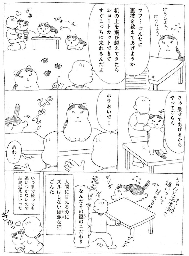 16108730.webp