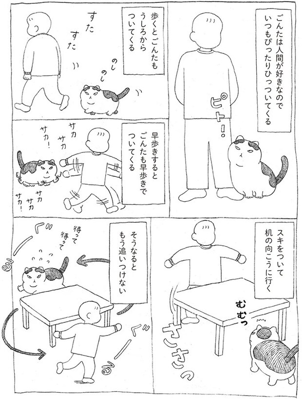 16108653.webp