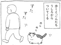 人間好きでくっつきたがる元野良猫。飼い主を追いかけて机の周りをぐるぐる／野良猫ごんた、家猫になる