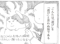 元野良の愛猫。飼い主が猫じゃらしを見せると険しい表情に...⁉／野良猫ごんた、家猫になる