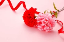 「雑草みたいな花ね」幼いころの「母の日」の悲しい記憶。40年たった今も私を悩ませる理由＜前編＞