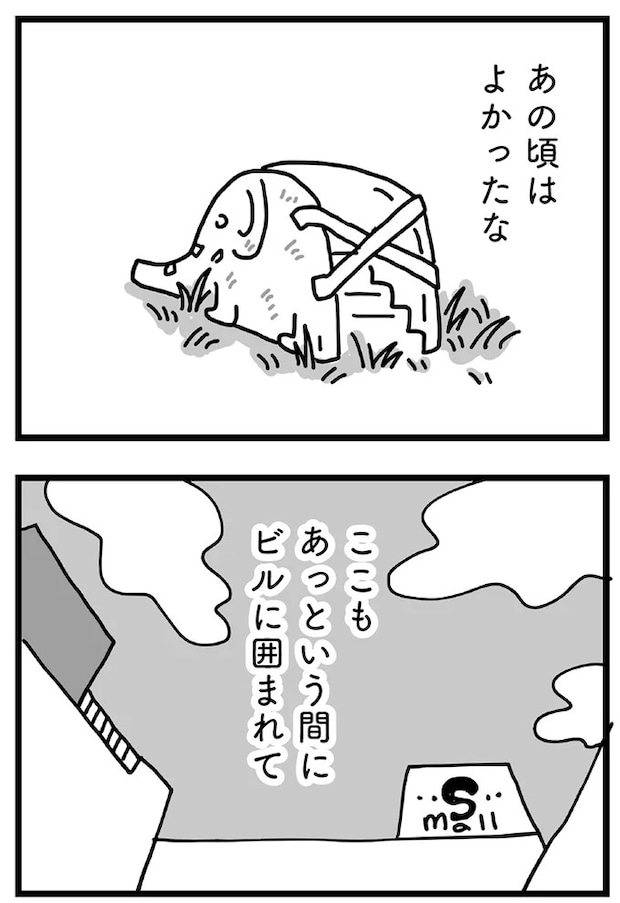 79_11.webp