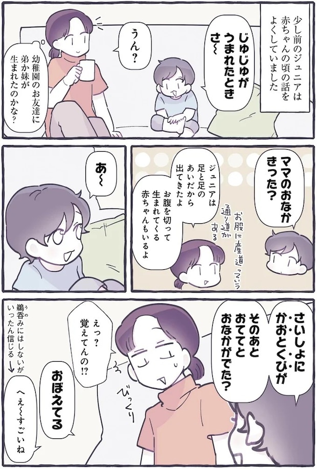 491.webp