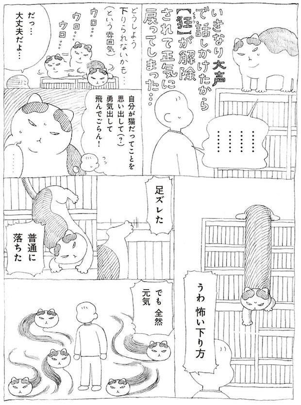 16108720.webp