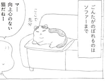 高い所にのぼろうとしない元野良猫。うっかり本棚の上に乗ってしまったら...!?／野良猫ごんた、家猫になる