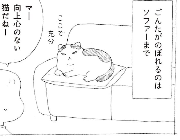 高い所にのぼろうとしない元野良猫。うっかり本棚の上に乗ってしまったら...!?／野良猫ごんた、家猫になる