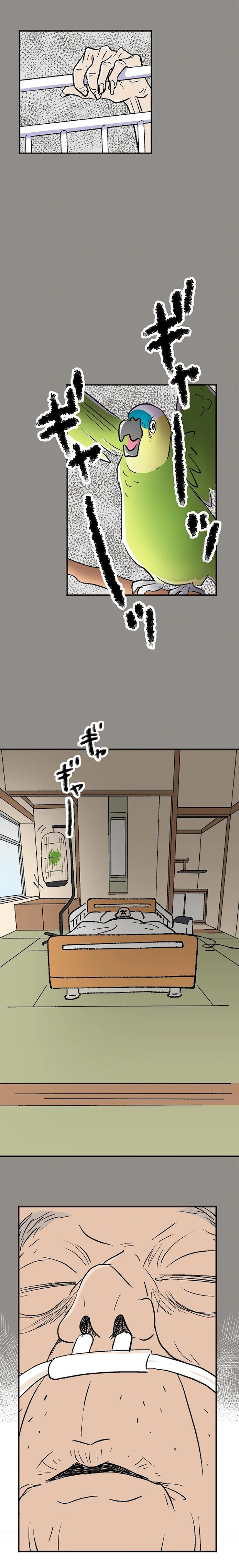 15128110.webp
