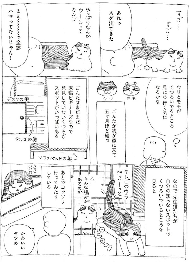 16108715.webp