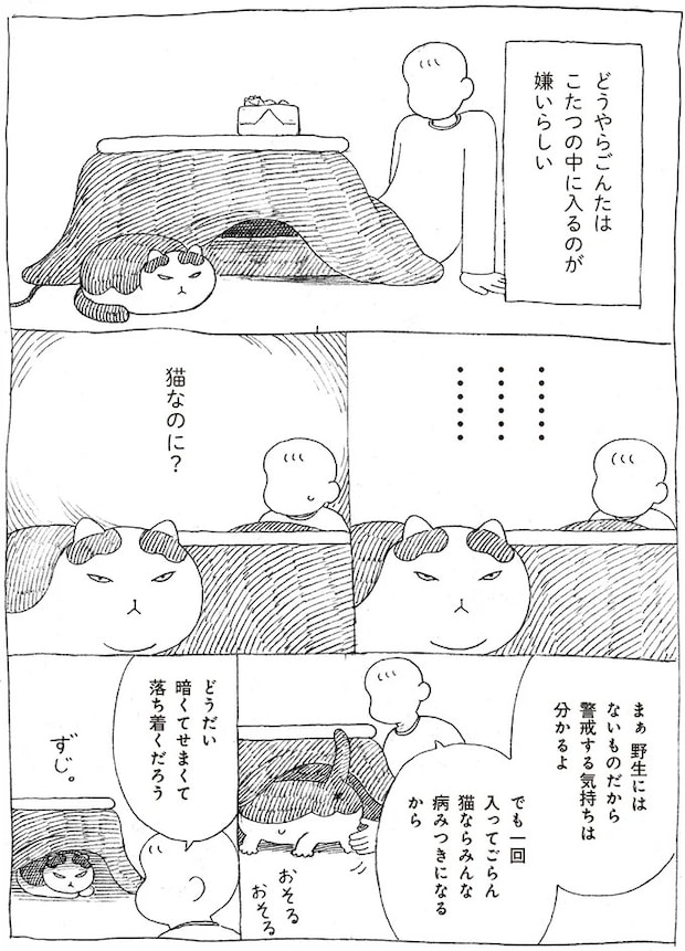 16108714.webp