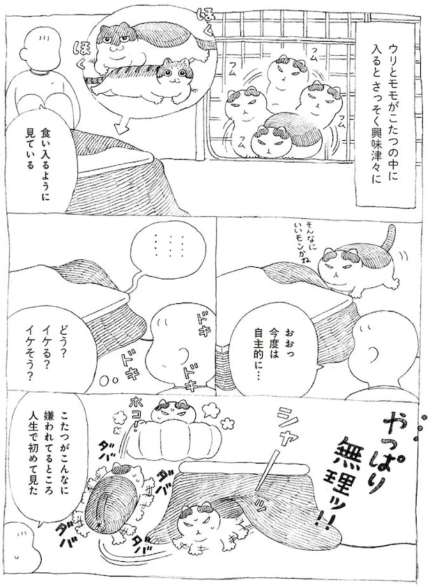 16108716.webp