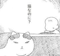 家猫ビギナーだから？ どうしてもこたつの中にいられない元野良猫／野良猫ごんた、家猫になる