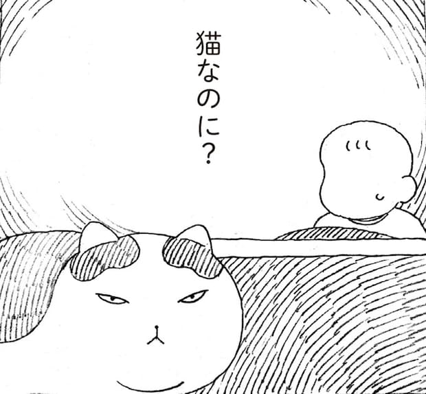 家猫ビギナーだから？ どうしてもこたつの中にいられない元野良猫／野良猫ごんた、家猫になる