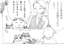 妙に行儀がいい保護猫。ひょっとして前はイイトコの...？／野良猫ごんた、家猫になる