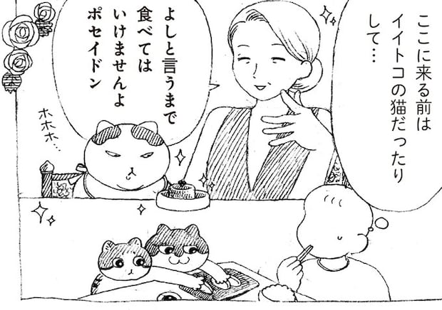 妙に行儀がいい保護猫。ひょっとして前はイイトコの...?/野良猫ごんた、家猫になる