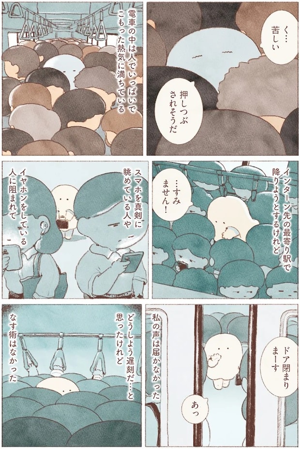 16155597.webp