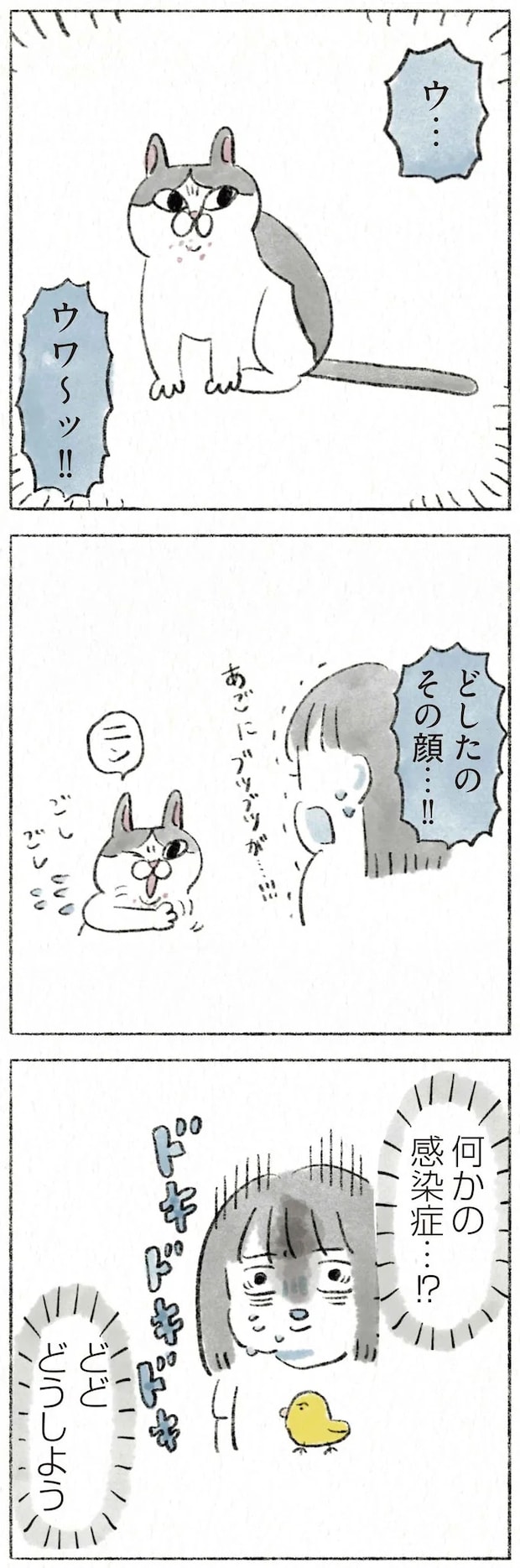 11.webp