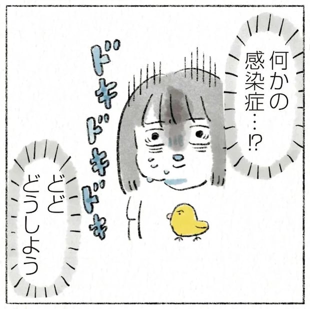 何かの感染症⁉ どどどうしよう。愛猫の顎にできものが...慌てて受診したら/うちの猫は今日も塩対応