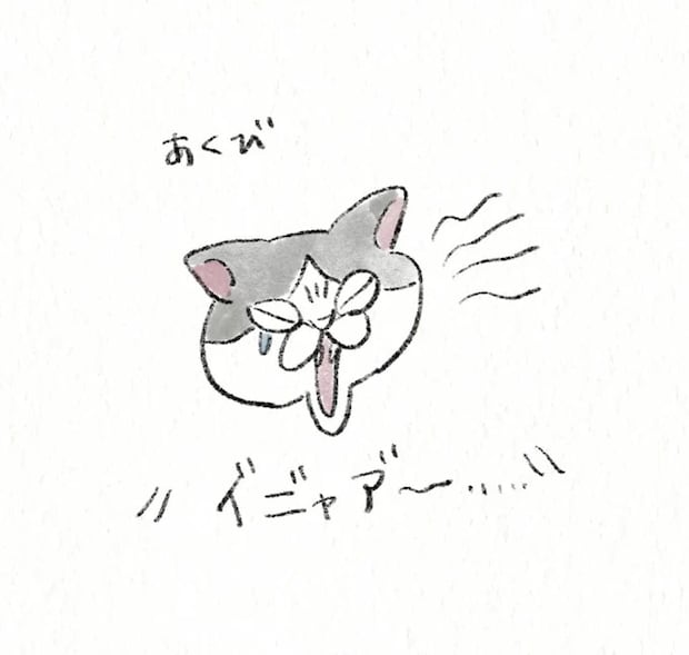 25.webp