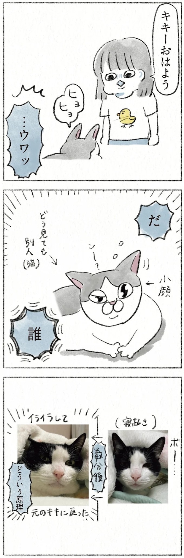 23.webp