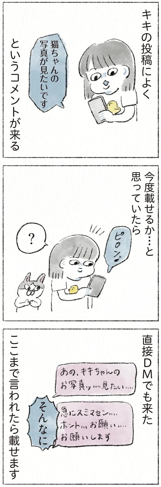 21.webp