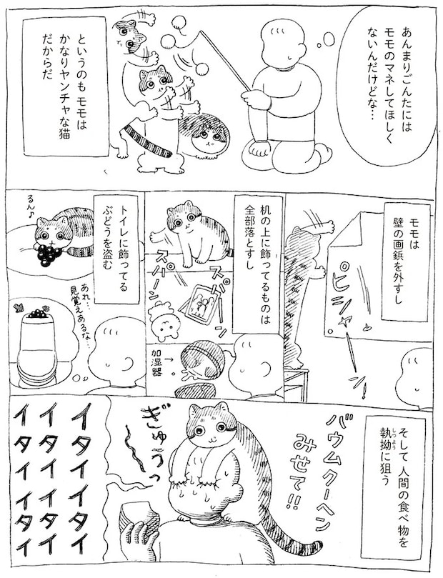 16108695.webp