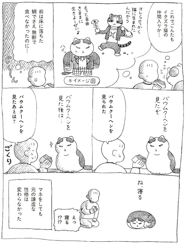 16108699.webp