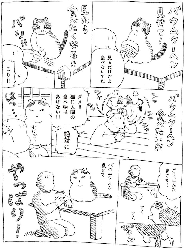 16108697.webp