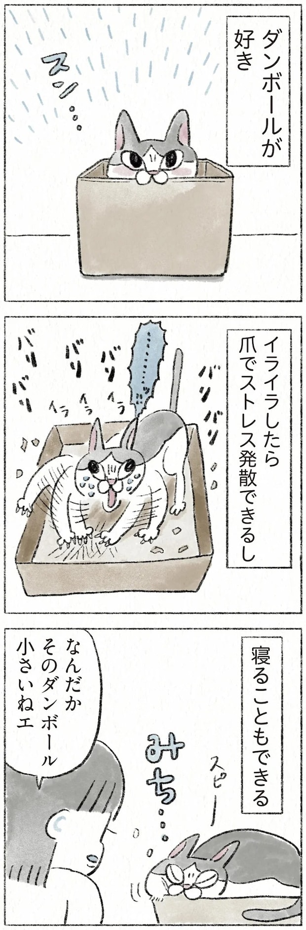 31.webp