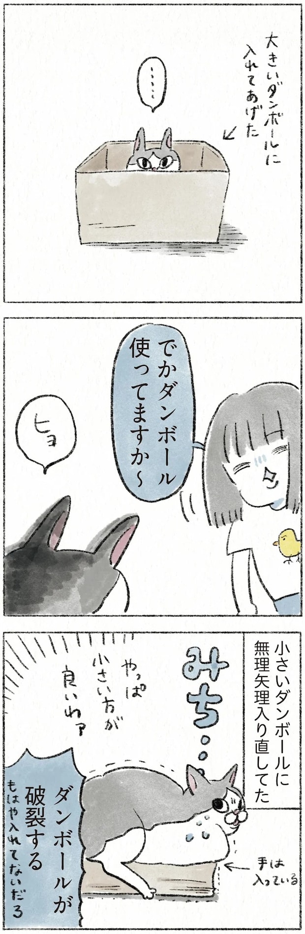 32.webp